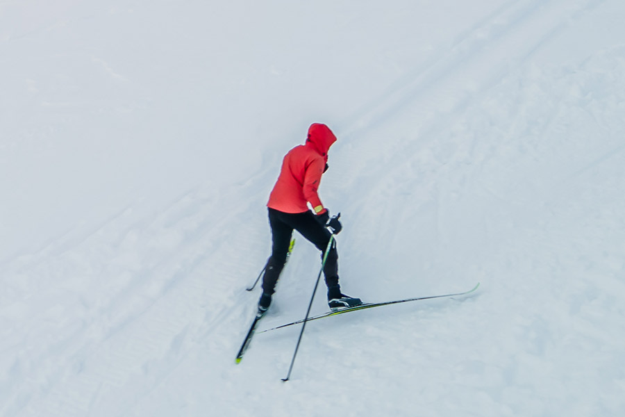 Cross Country Skiing or Snowboarding