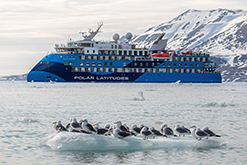 Ocean Albatros