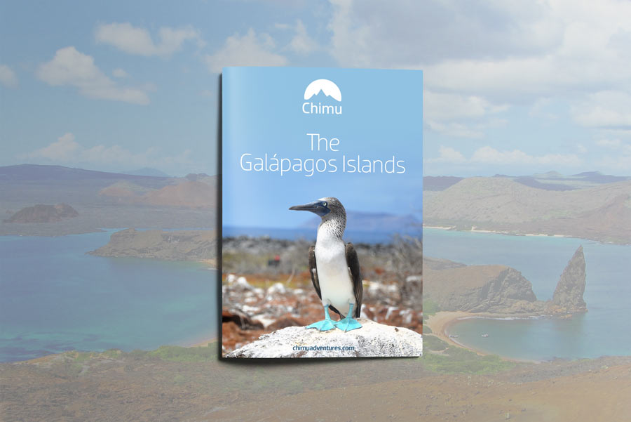  MDB_GalapagosCover2025 