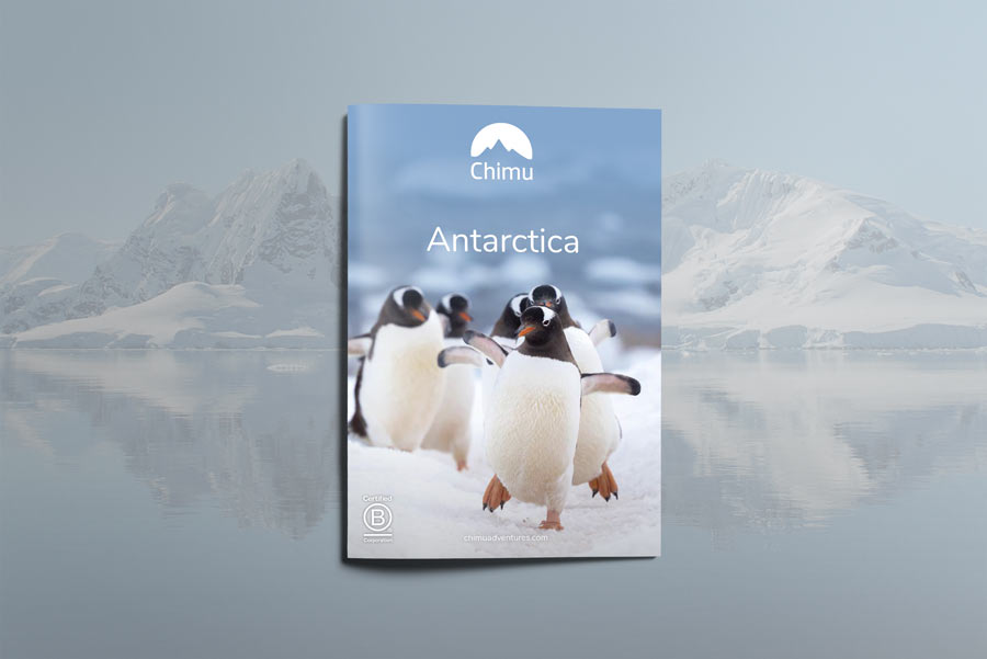  Cover-A4-Brochure-Flaylay 