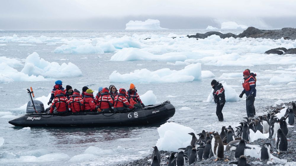 zodiac coming into shore in Antarctica
