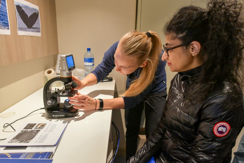 citizen science in Antarctica