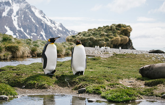 South Georgia Island