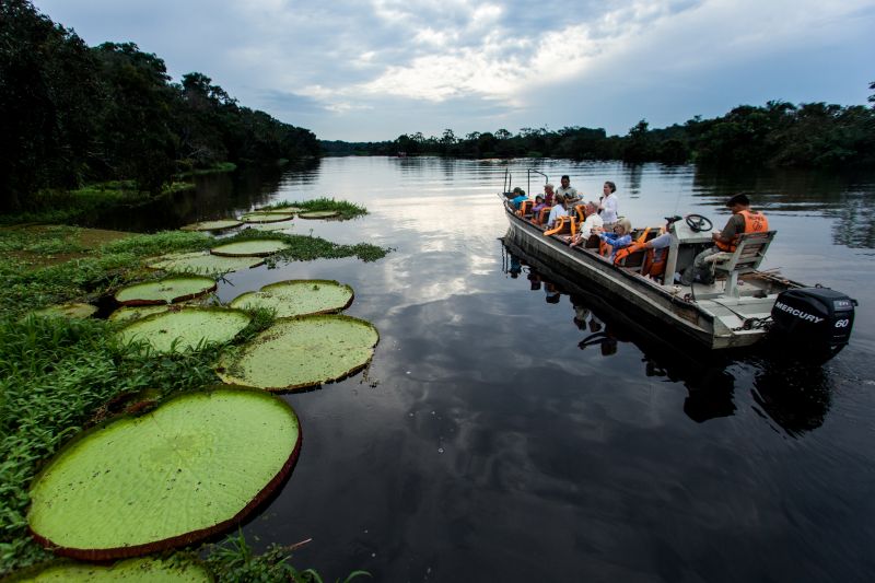 Skiff ride in the Amazon with Chimu Adventures