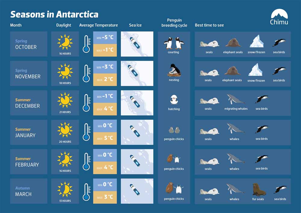 Infographic of when to travel to Antarctica