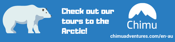Polar-bear-chimu