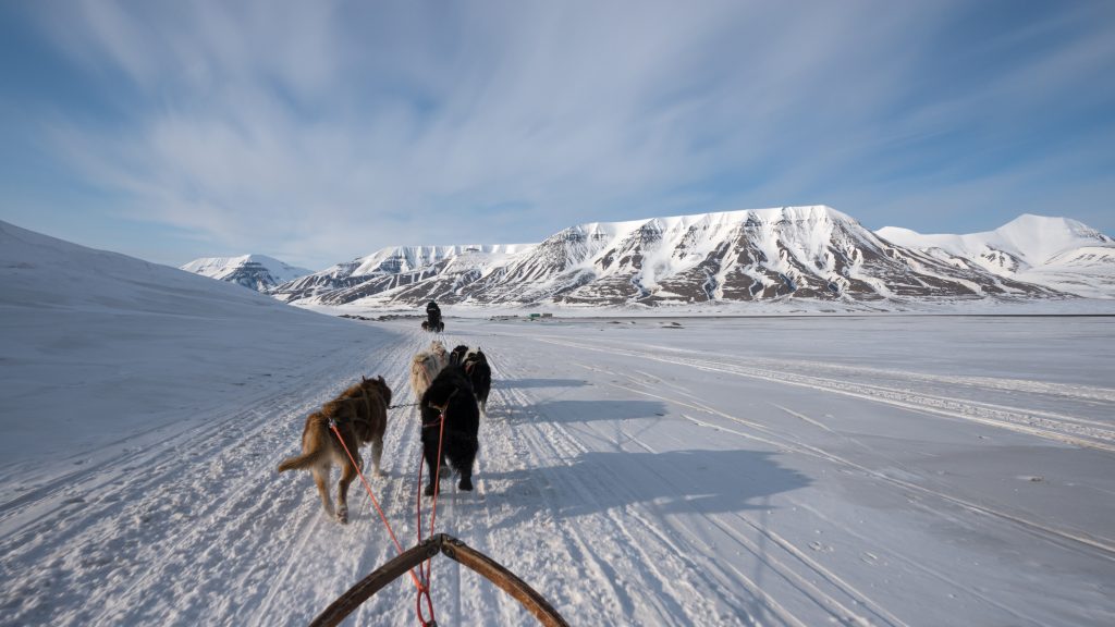 Dog sleds are a traditional form of transportation in Svalbard