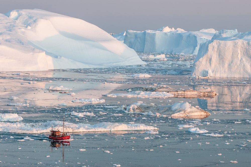 icebergs in the Arctic