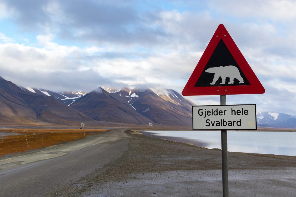 Beware of polar bears in Svalbard