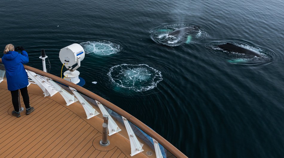 FournierBay_Antarctica_YuriChoufour-75733