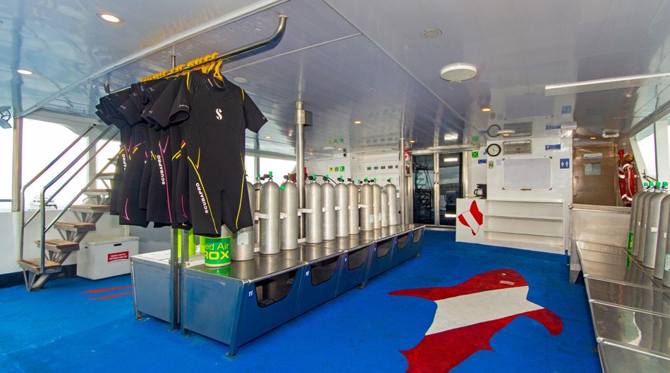 Diving Deck onboard Calipso Galapagos vessel 