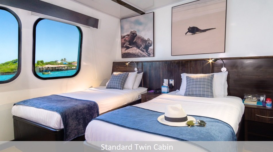 Natural Paradise Galapagos Cruise - Twin Stateroom Cabin 