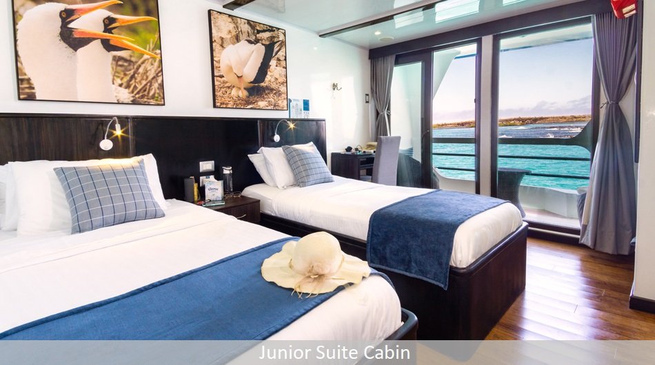 Natural Paradise Galapagos Cruise - Junior Suite 