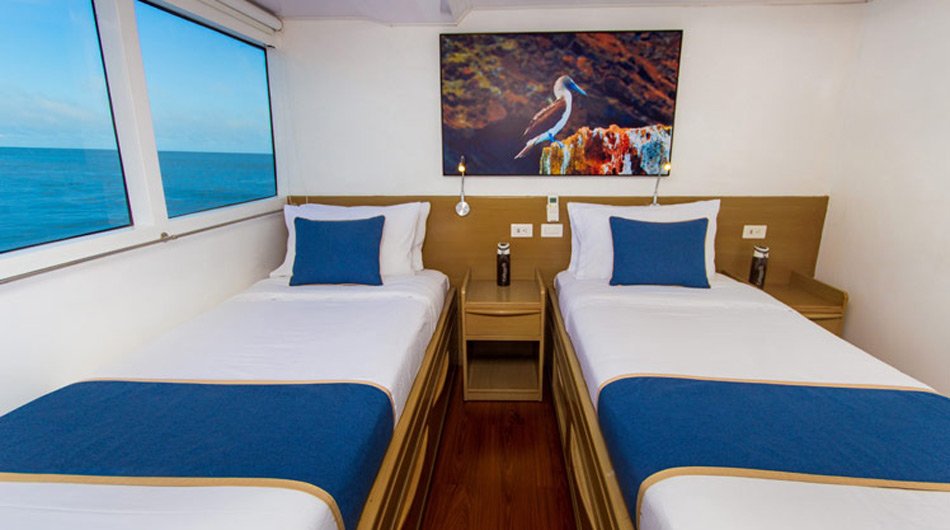 Twin Cabin - Calipso Galapagos Ship 