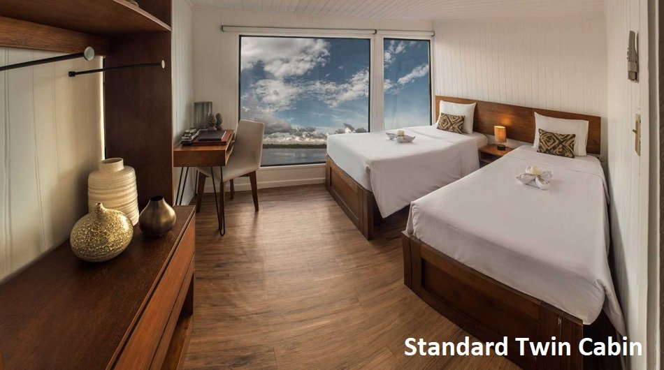 Standar-Cabin-twin