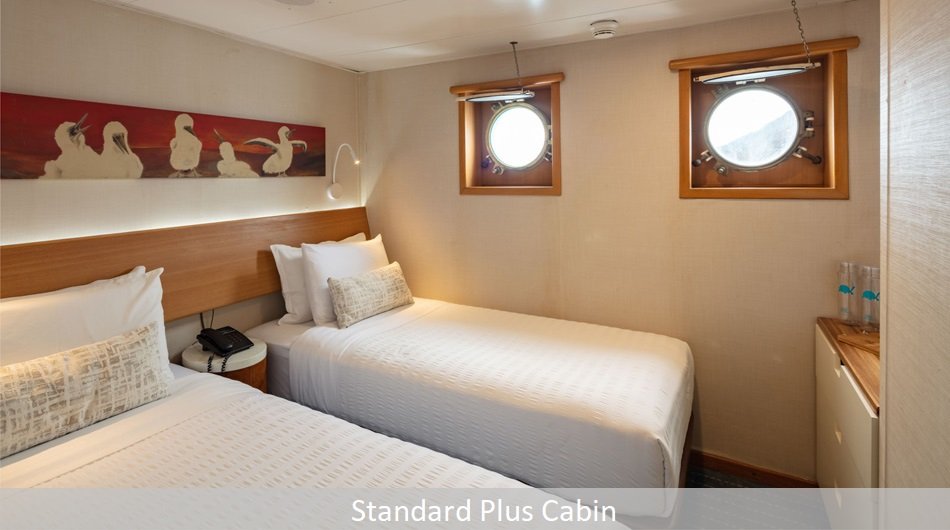 Galapagos Legend Cruise Ship - Standard Plus Cabin
