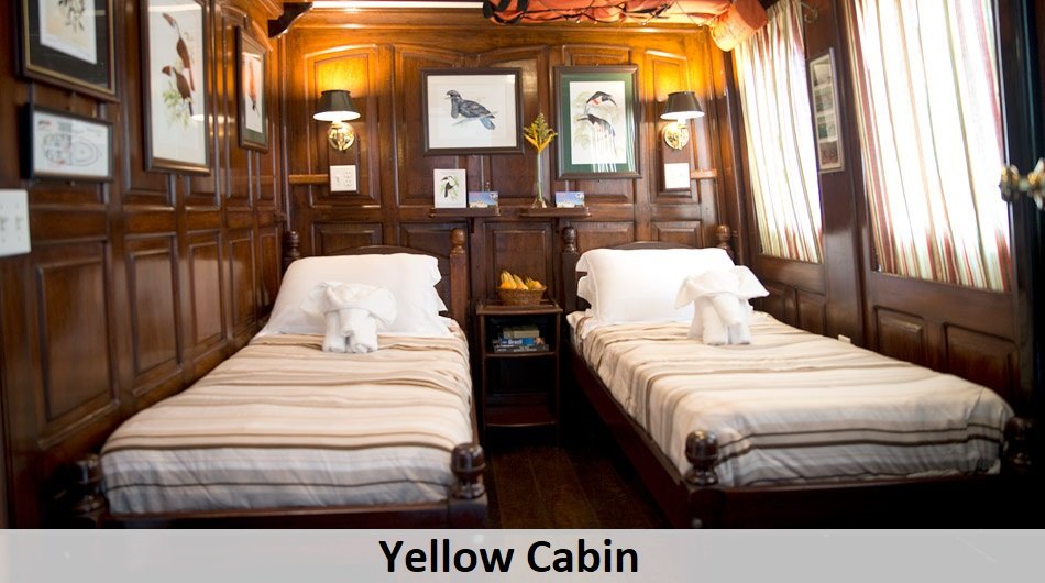 Tucano-Twin-cabin-yellow