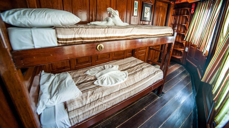 Tucano-twin-cabin-green