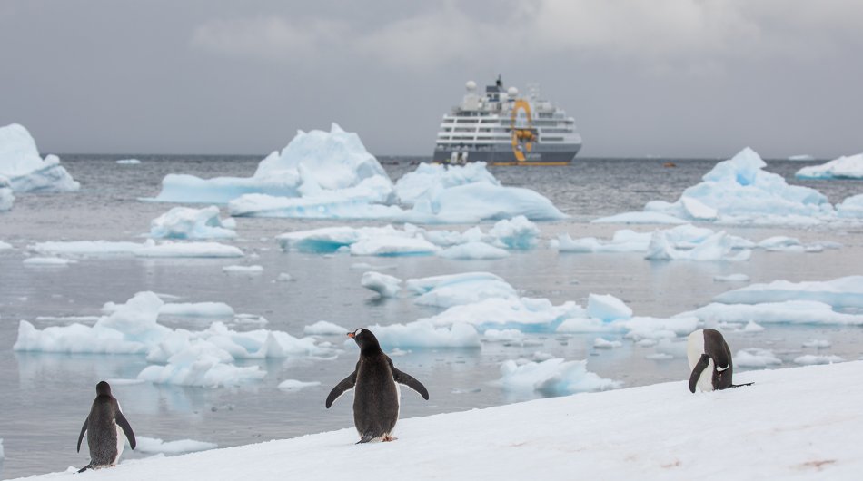 Ultramarine_4M9A5079_michellesole_Web