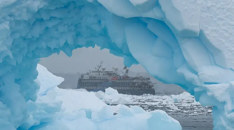 albatros-ov-ice