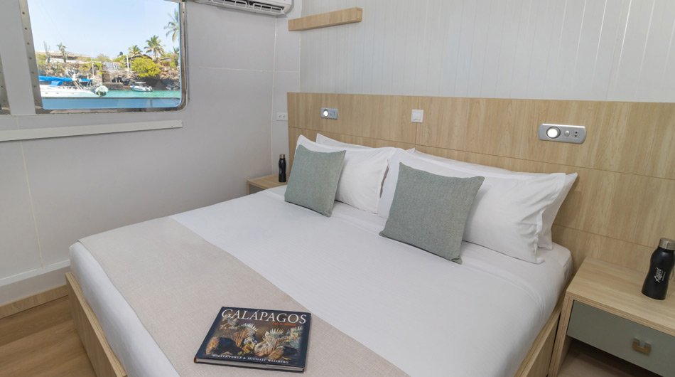 Galapagos Angel Galapagos Cruise - Double Cabin