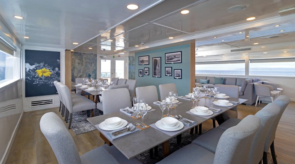 Galapagos Sea Star Dining Room