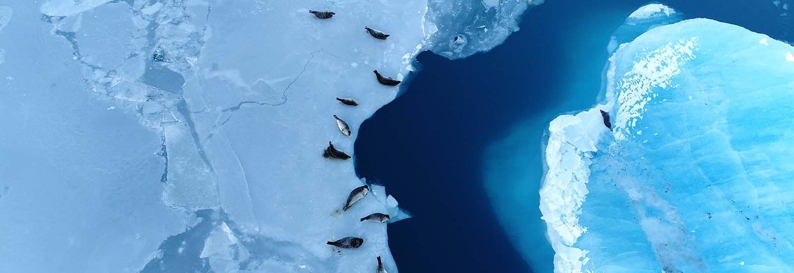 Across the Antarctic Circle - Ushuaia to Punta Arenas | Sylvia Earle