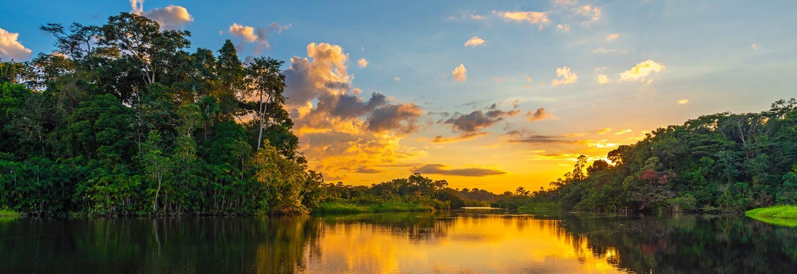 Brazil Amazon Extension | Juma Lodge