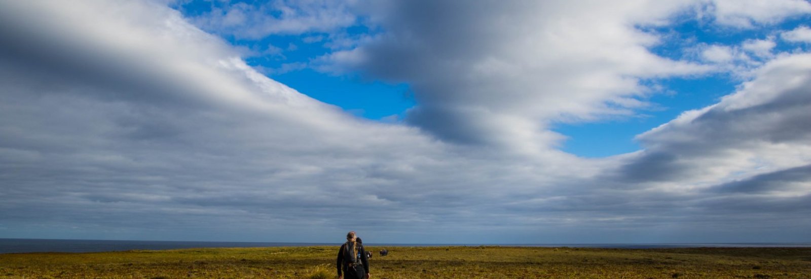 Sub-Antarctic Islands cruises 