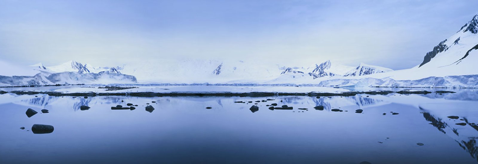 East-Ant-Blog-Banner1