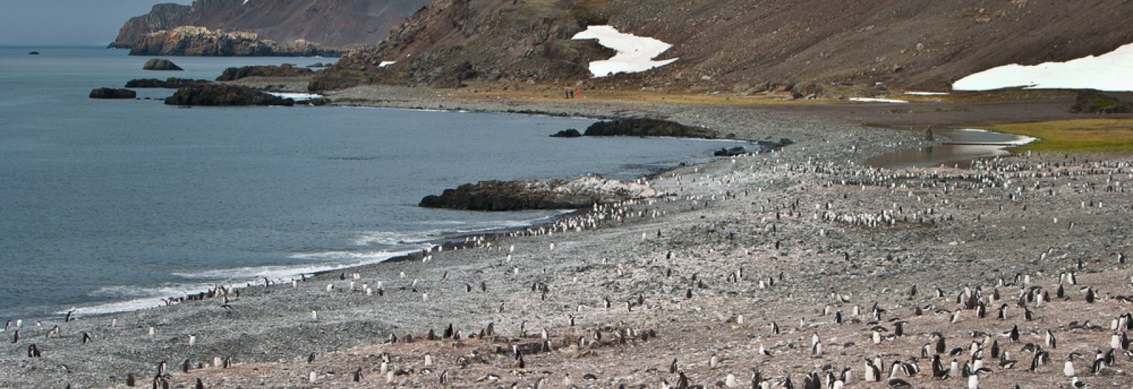 Shetlandshutterstock_125939516_0