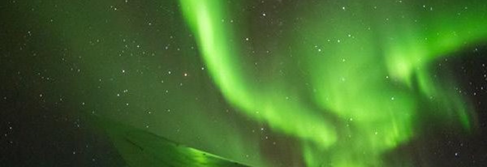 gallery-images_950x5303-600x530