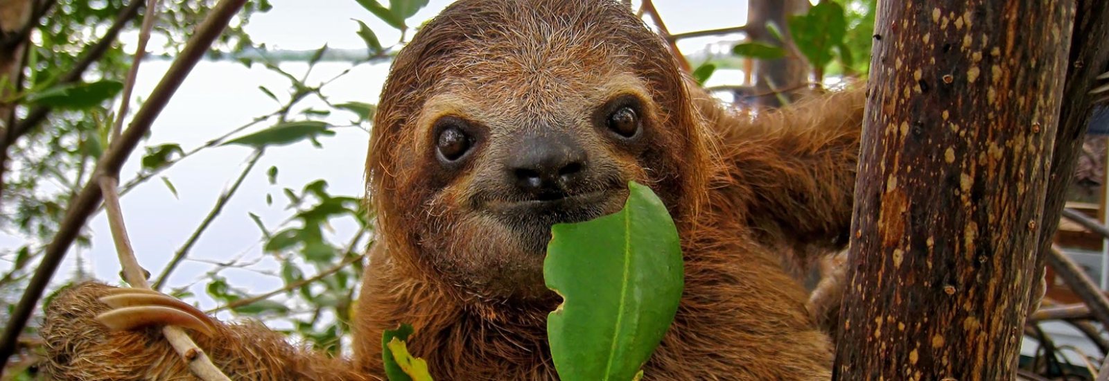 shutterstock_157876628-1