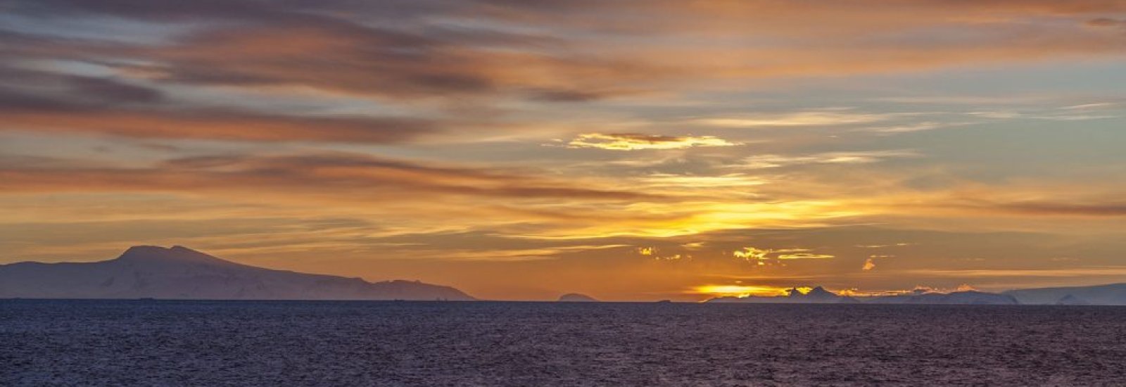 shutterstock_268441124-1024x368