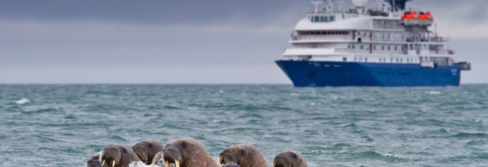 shutterstock_394974643-1756x1080