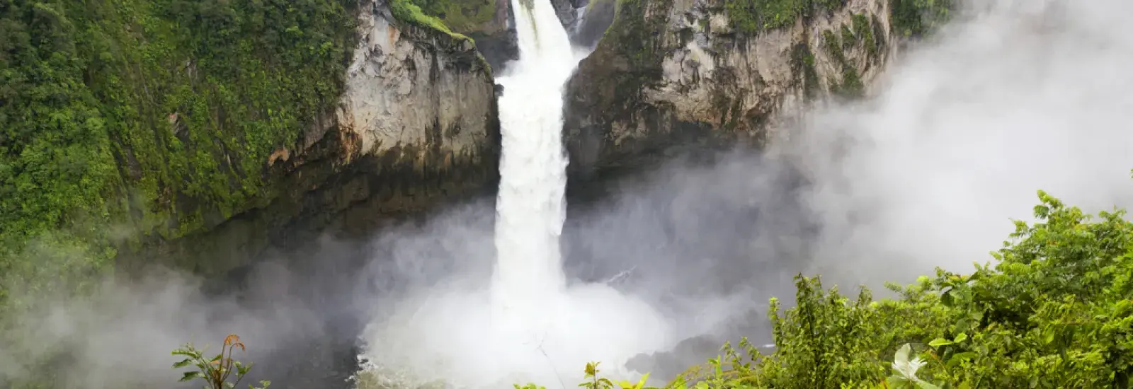 Rainforest_Amazon_Shutterstock.jpg