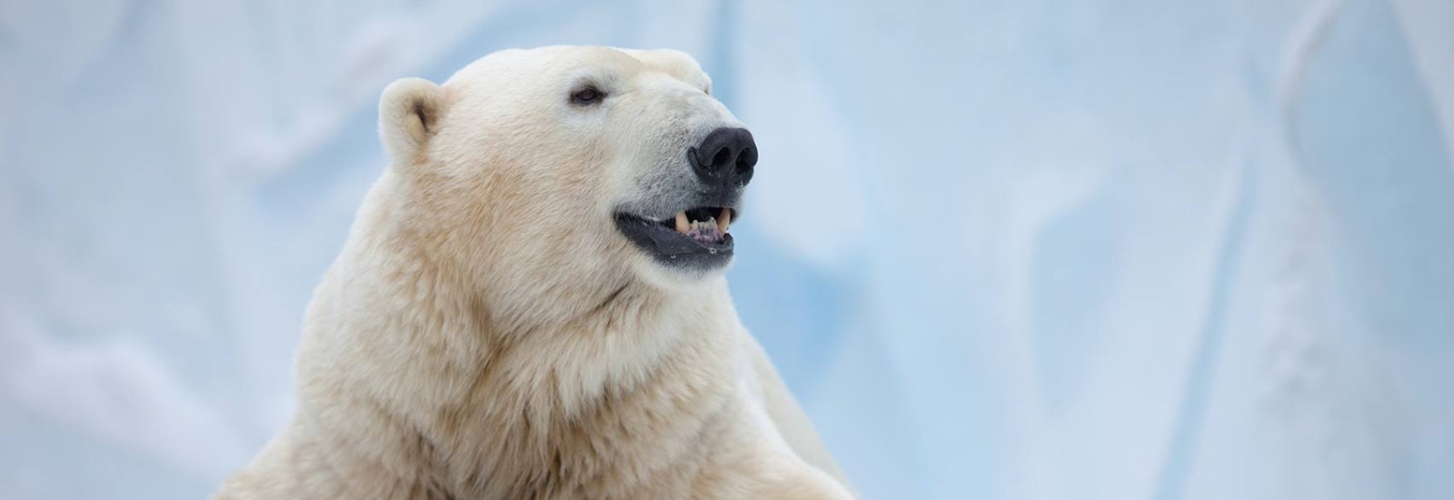 shutterstock_130177340_0