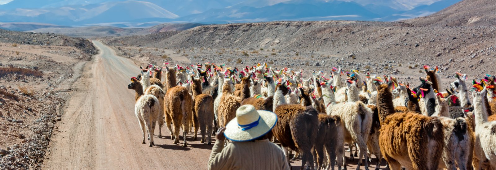 shutterstock_231490438