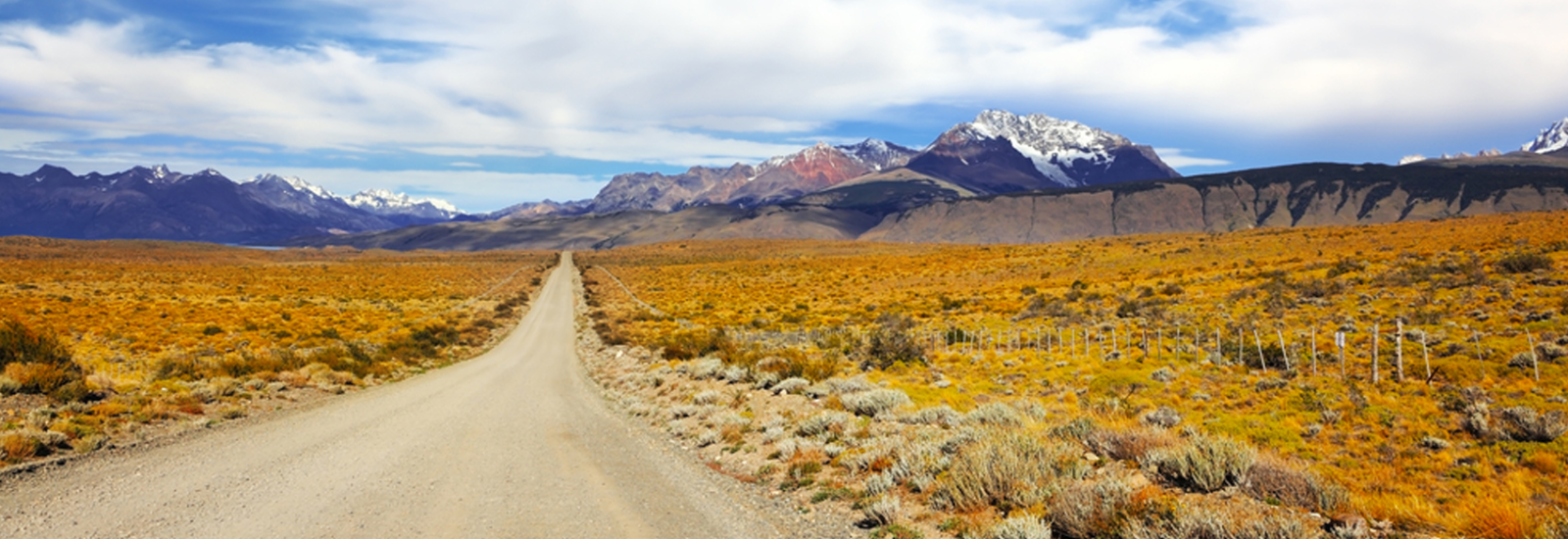 shutterstock_238192714