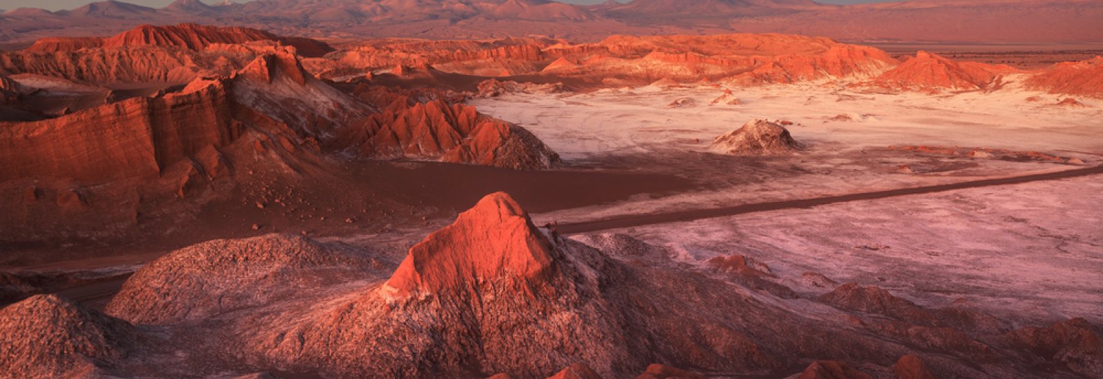 shutterstock_320675879