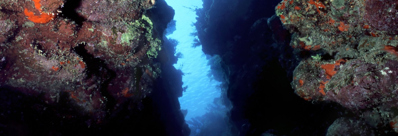 shutterstock_3647837