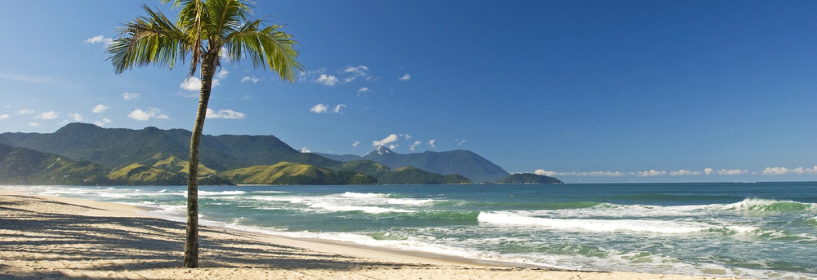 shutterstock_422441656