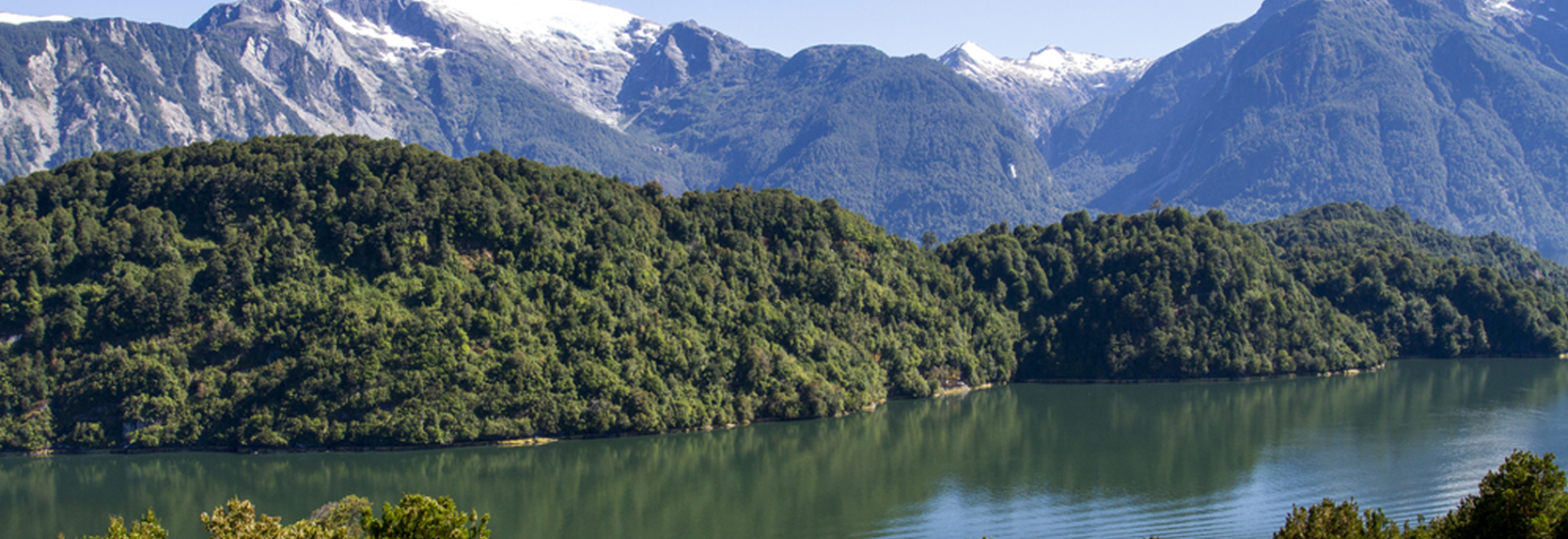 shutterstock_507063649