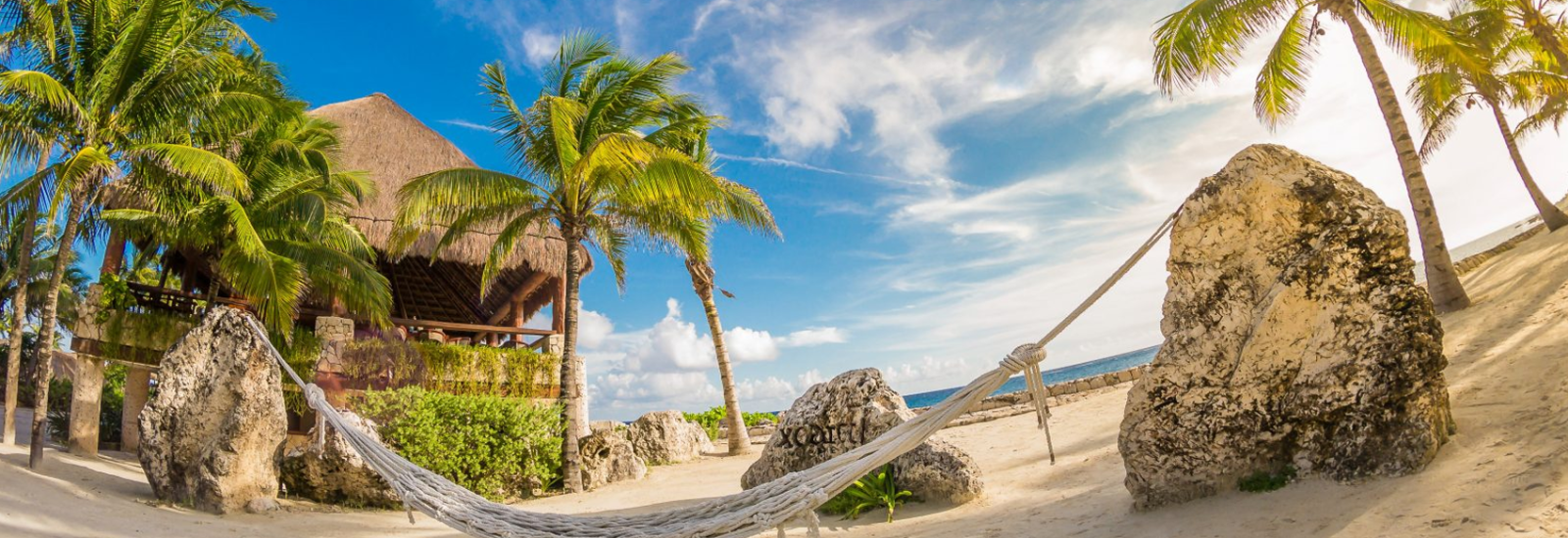 shutterstock_562401952