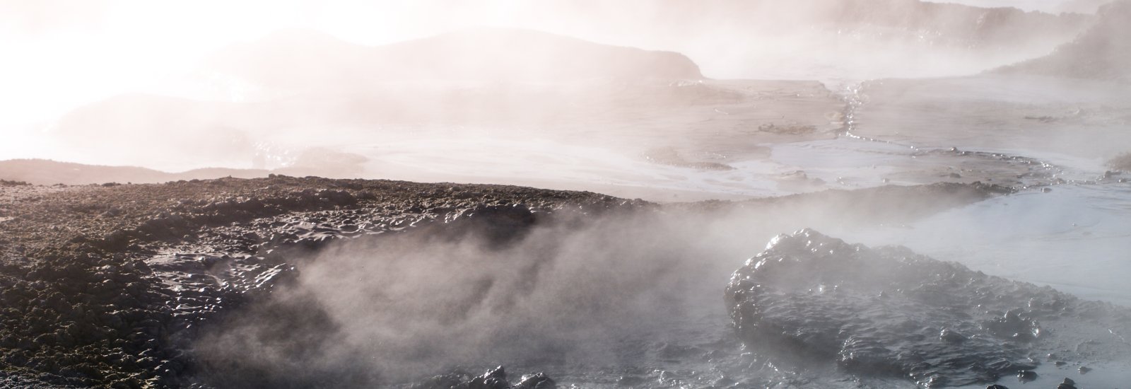 shutterstock_738172207