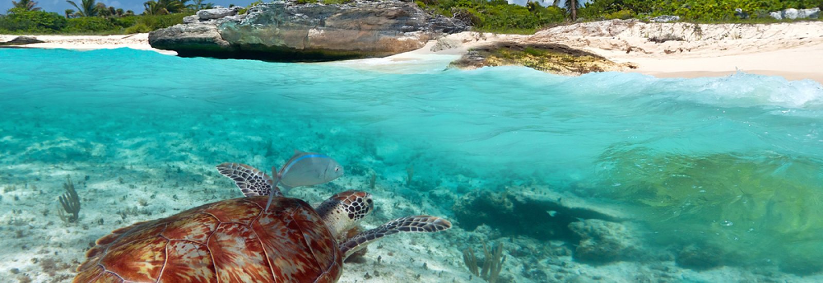 shutterstock_92888323