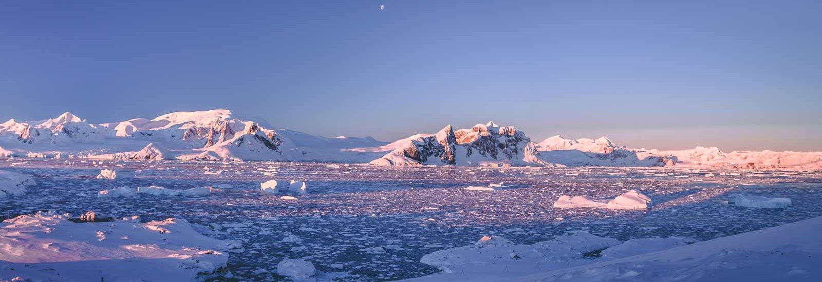 Emblematic Antarctica | Le Lyrial