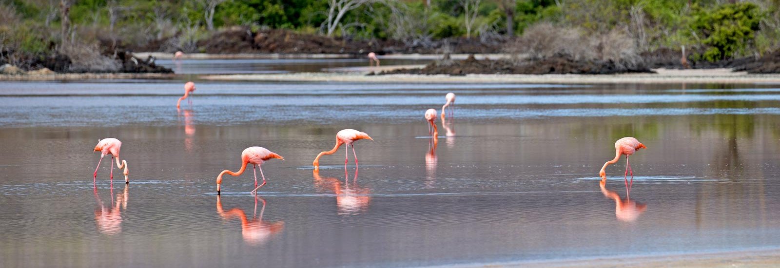 Galapagos South, Central &amp; West Islands Cruise | Seaman Journey