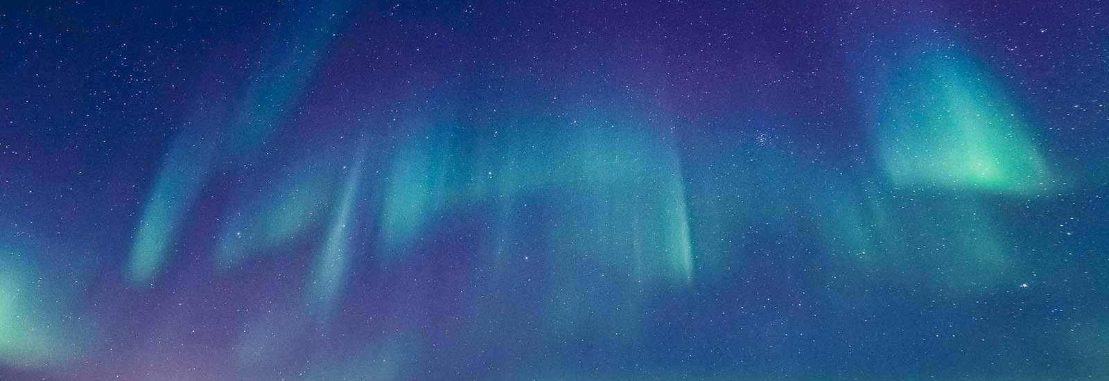 Arctic Golden Autumn &amp; Northern Lights | Sylvia Earle