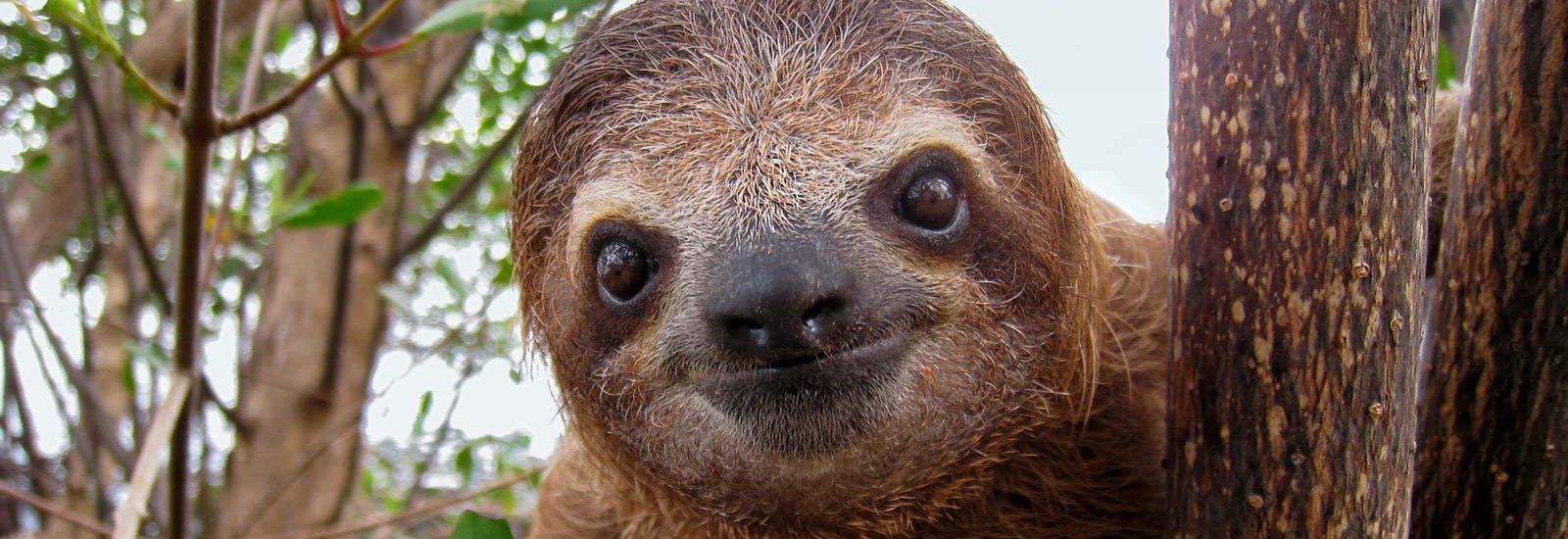 Signature Costa Rica